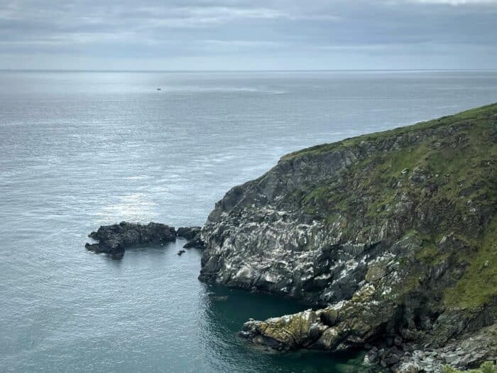 Howth Cliff Walk