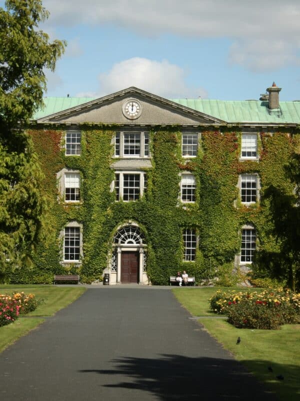 Maynooth