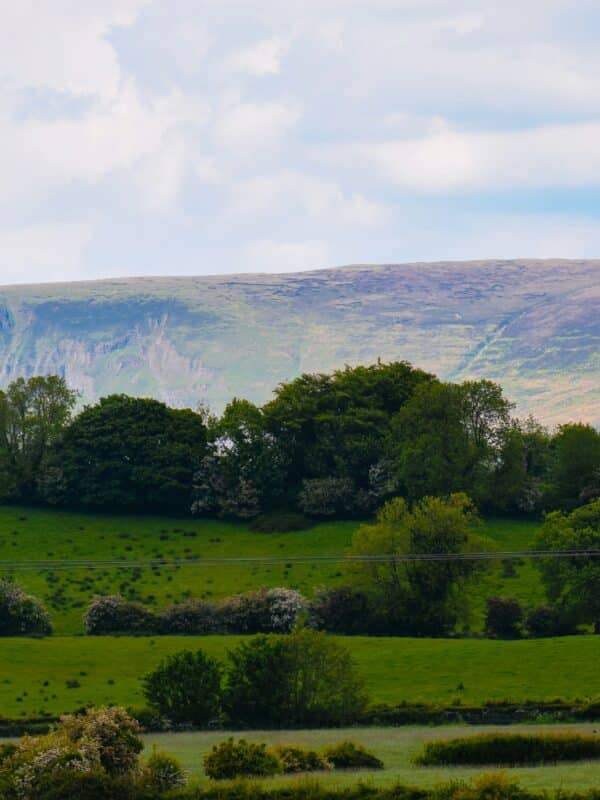 Sligo